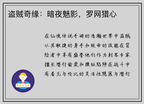 盗贼奇缘：暗夜魅影，罗网猎心